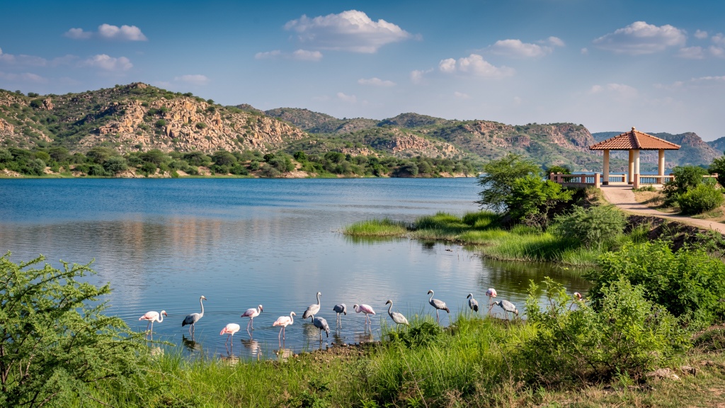 Dantiwada Dam